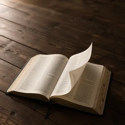 Open Bible Pages Turning in Breeze