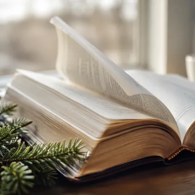 Open Bible Pages Turning in Morning Breeze