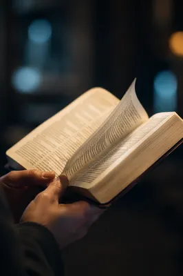 Open Bible Pages Turning in Gentle Wind