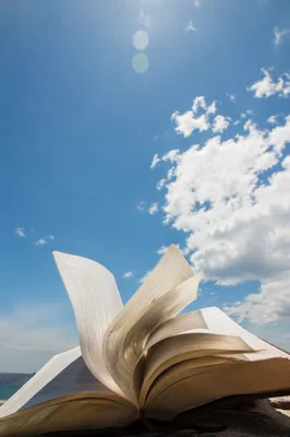 Open Bible Pages Turning Under Blue Sky
