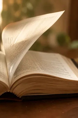 Open Bible Pages Turning in Gentle Breeze