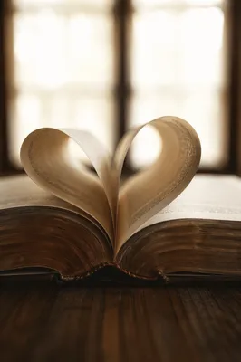 Open Bible Pages Turning in Gentle Wind