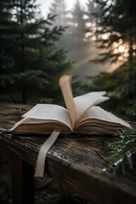 Open Bible Pages Turning in Evergreen Breeze
