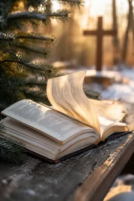 Open Bible Pages Turning in Winter Garden