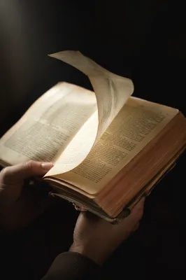 Open Bible Pages Turning in Wind