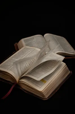 Open Bible Pages Turning in Gentle Wind