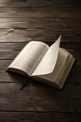 Open Bible Pages Turning in Breeze
