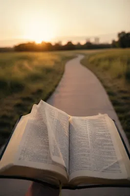 Open Bible Pages Turning in Breeze