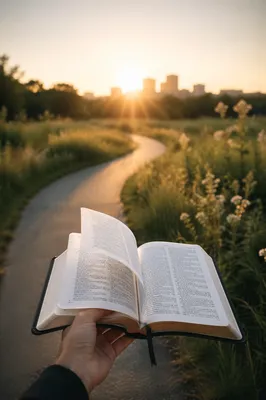 Open Book in Breezy Meadow Light
