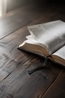 Open Bible Pages Turning in Soft Wind