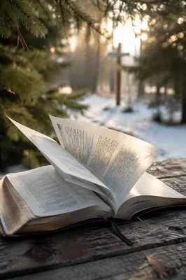 Open Bible Pages Turning in Evergreen Breeze