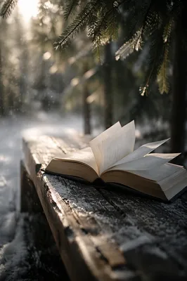 Open Bible Pages Turning in Evergreen Breeze