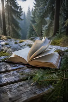 Open Bible Pages Turning in Evergreen Breeze