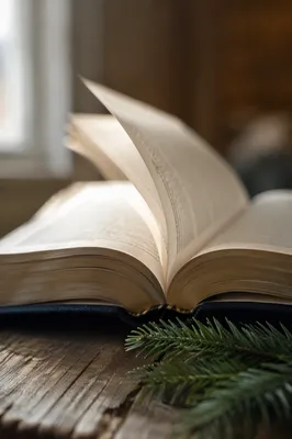Open Bible Pages in Gentle Breeze