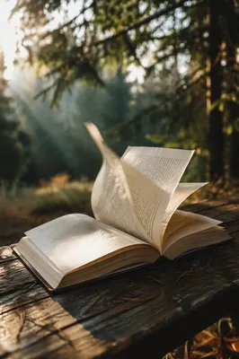 Open Bible Pages in Evergreen Morning