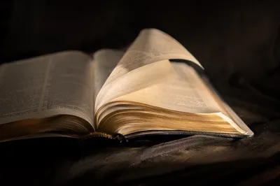 Open Bible Pages Turning in Sunlight