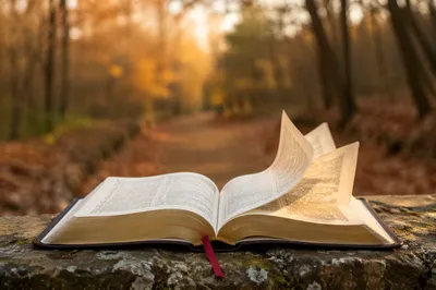 Open Bible Pages Turning in Woodland Breeze