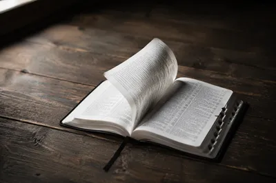 Open Bible Pages Turning in Gentle Breeze