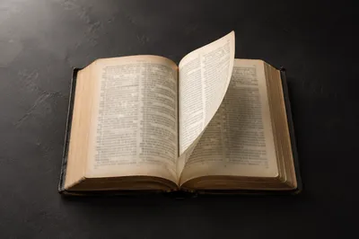 Open Bible Pages Turning in Gentle Breeze