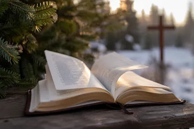 Open Bible Pages in Winter Garden Breeze