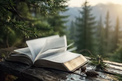 Open Bible Pages Turning in Evergreen Breeze