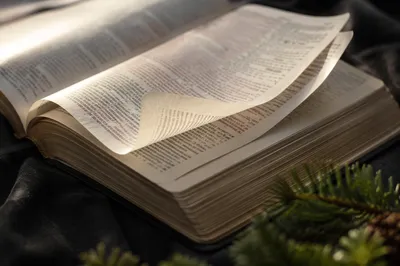 Open Bible Pages Turning in Soft Breeze