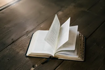Open Bible Pages Turning in Soft Light