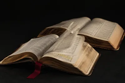 Open Bible Pages Turning in Gentle Wind