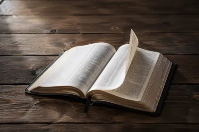 Open Bible Pages Turning in Breeze