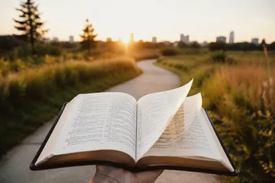 Open Bible Pages Turning at Golden Hour