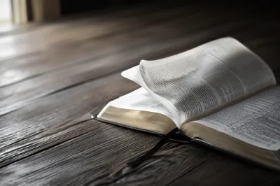 Open Bible Pages Turning in Breeze
