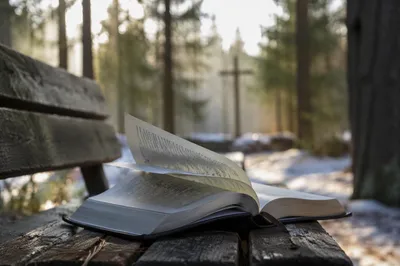 Open Bible Pages in Evergreen Breeze