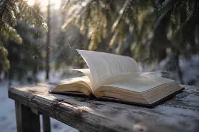 Open Bible Pages in Evergreen Winter Breeze
