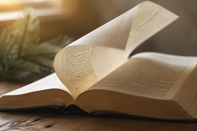 Open Bible Page Turning in Gentle Breeze