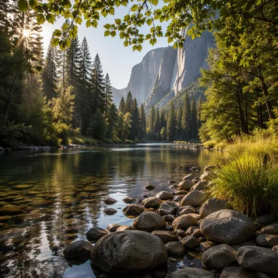 Peaceful River in Evergreen Valley
