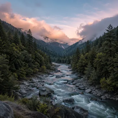 Peaceful River Through Evergreen Valley