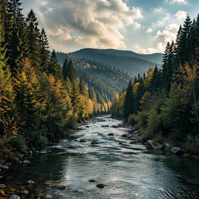 Peaceful River Through Evergreen Valley