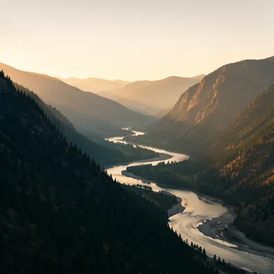 Peaceful River Through Evergreen Mountain Valley