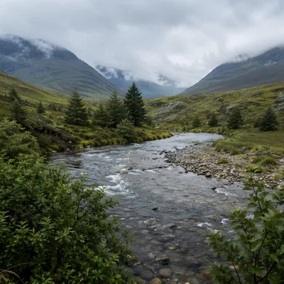Peaceful River Through Evergreen Valley