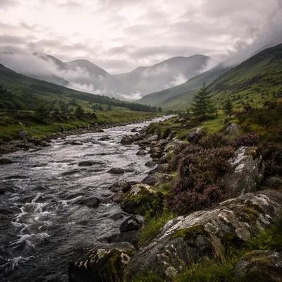 Peaceful Evergreen River Valley at Dawn