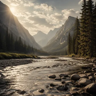 Peaceful Alpine River Through Evergreen Valley