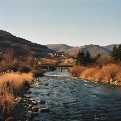 Peaceful River Valley with Evergreen Hills
