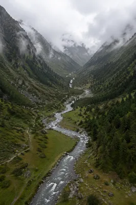 Peaceful River Through Evergreen Mountain Valley