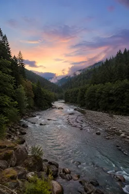 Peaceful River Through Evergreen Valley