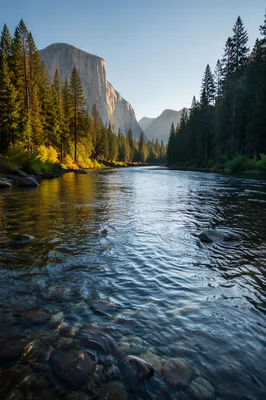 Peaceful Evergreen Valley River at Golden Hour