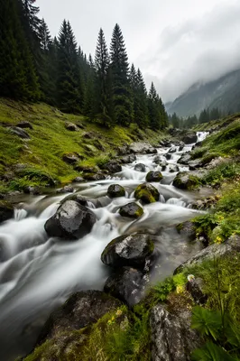 Peaceful Evergreen Valley River
