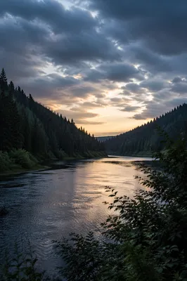 Peaceful River Through Evergreen Valley at Dusk