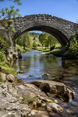 Peaceful River Beneath Evergreen Stone Bridge