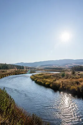 Peaceful River Valley Under Clear Sky