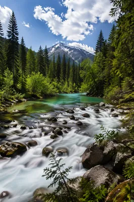 Peaceful Turquoise River in Evergreen Valley